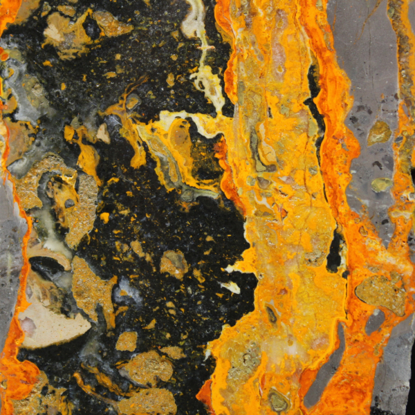 Jasper calabrone indonesiano: grande lastra lucidata