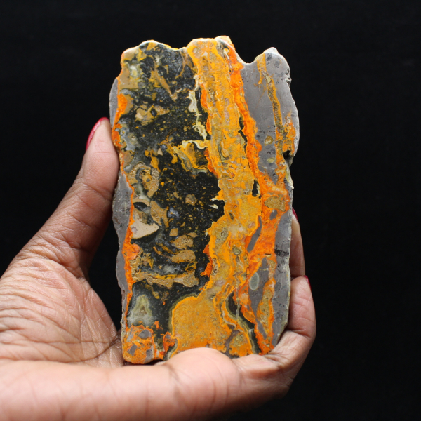 Jasper calabrone indonesiano: grande lastra lucidata