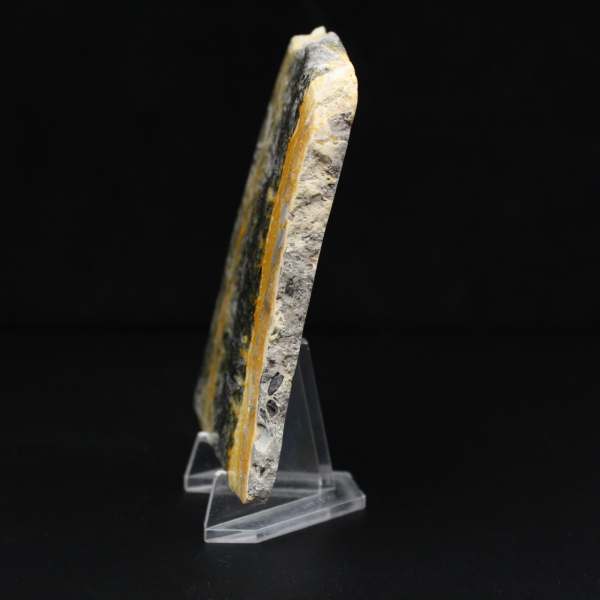 Esemplare compatto e levigato di Bumblebee Jasper