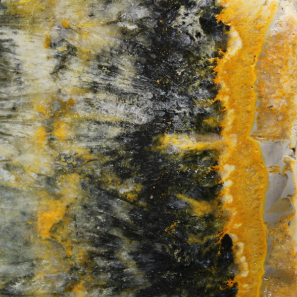 Esemplare compatto e levigato di Bumblebee Jasper