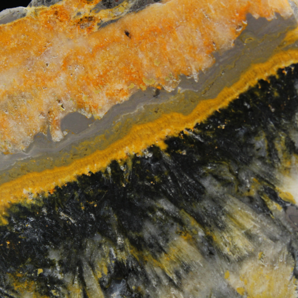 Placca decorativa in diaspro a forma di calabrone - 130 g