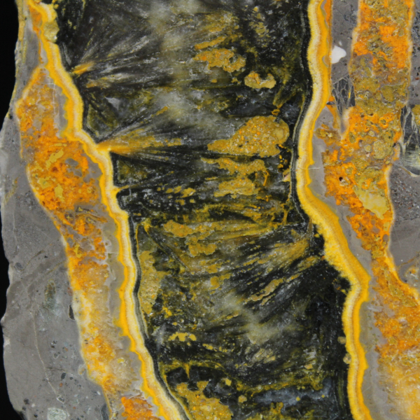 Spessa fetta di diaspro calabrone lucidato