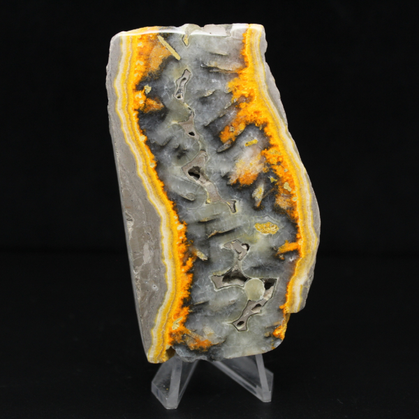 Robusta fetta di diaspro indonesiano Bumblebee