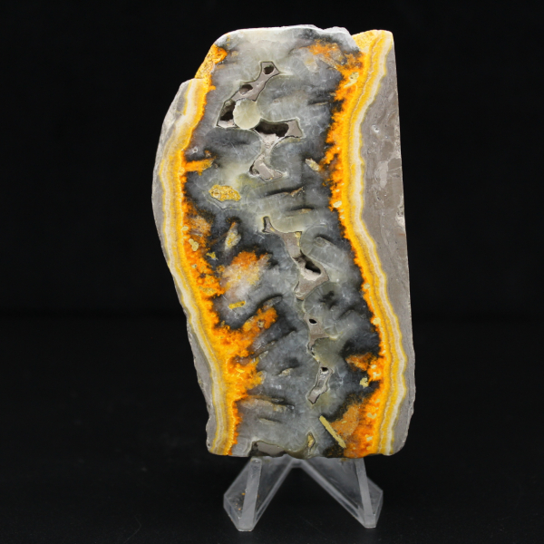 Robusta fetta di diaspro indonesiano Bumblebee