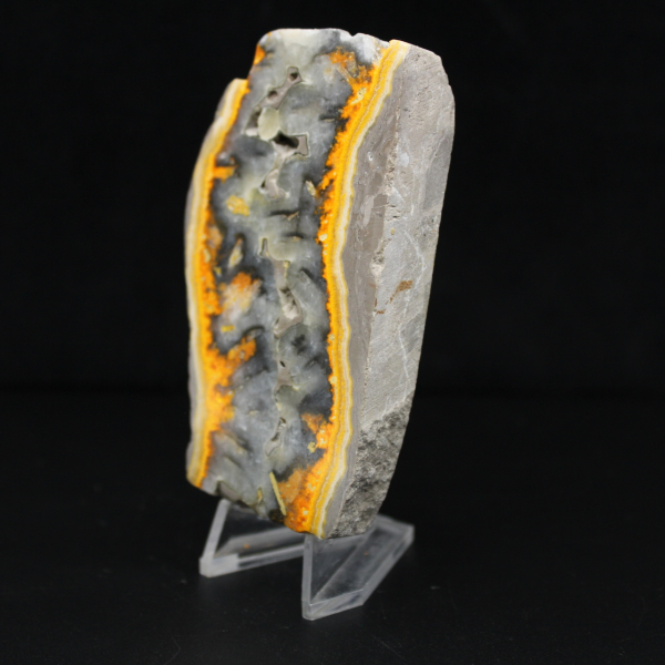 Robusta fetta di diaspro indonesiano Bumblebee