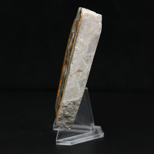 Robusta fetta di diaspro indonesiano Bumblebee