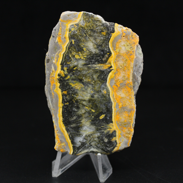 Jasper calabrone indonesiano: frammento lucidato