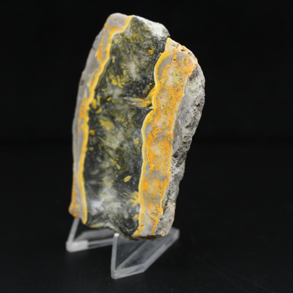 Jasper calabrone indonesiano: frammento lucidato