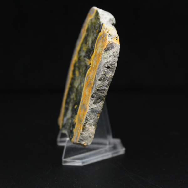 Jasper calabrone indonesiano: frammento lucidato