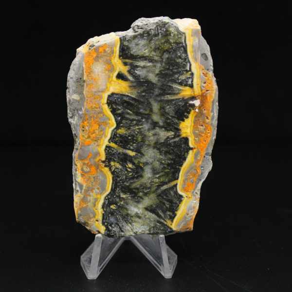 Jasper calabrone indonesiano: frammento lucidato