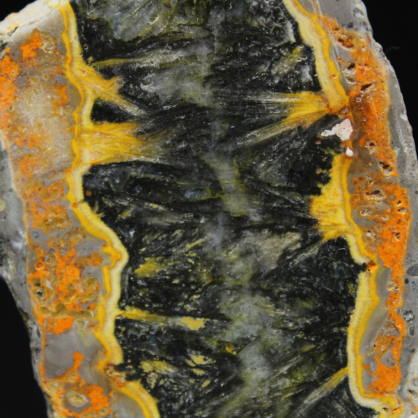 Jasper calabrone indonesiano: frammento lucidato