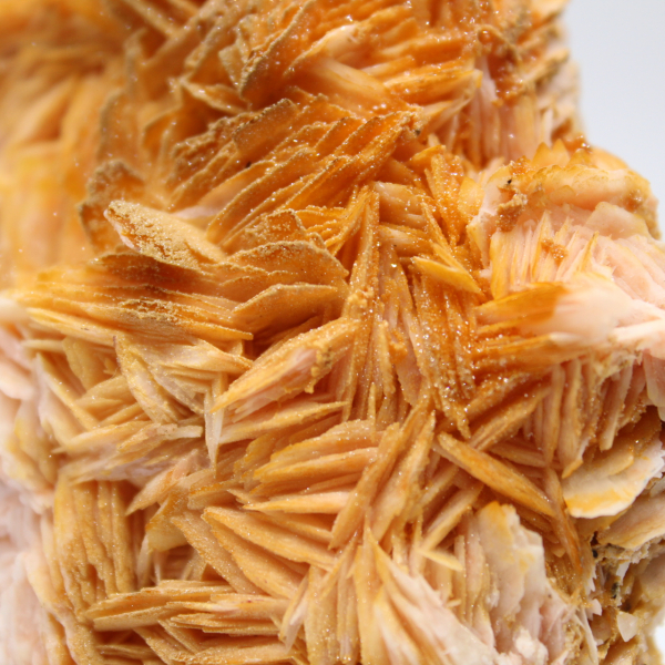 Cristallizzazione naturale della barite arancione marocchina