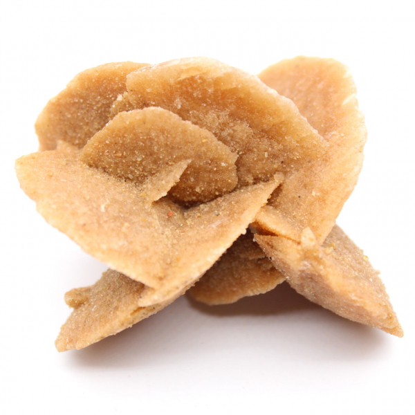 Grande esemplare di rosa del deserto marocchina: estetica minerale