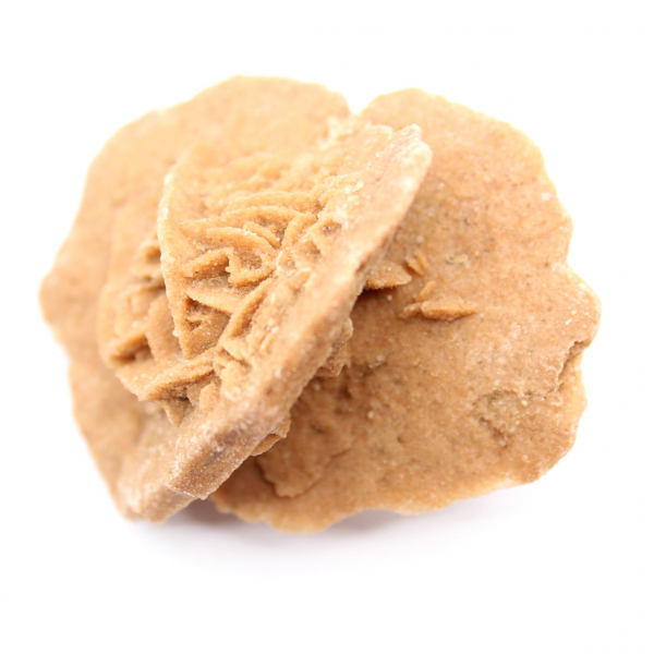 Rosa del deserto marocchina: un bouquet cristallino di gesso