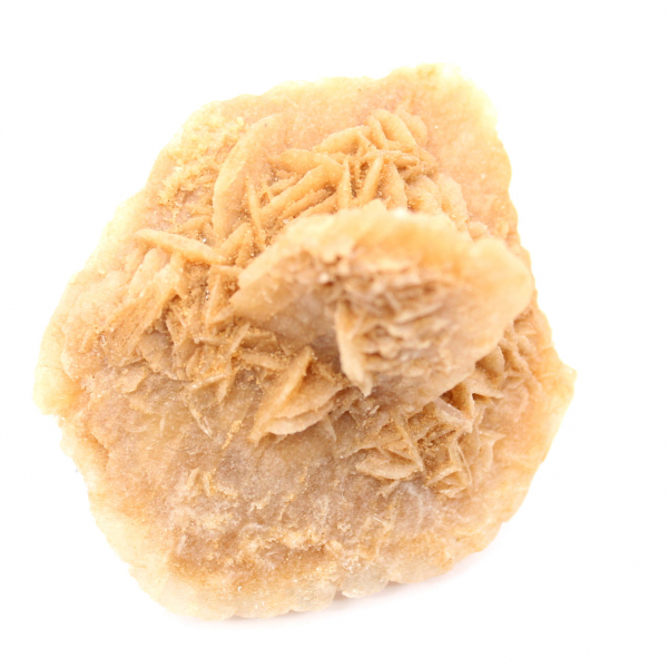 Rosa del deserto marocchina: enorme rosetta da collezione