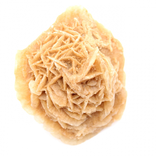 Rosa del deserto marocchina: enorme rosetta da collezione