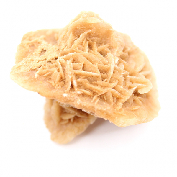 Rosa del deserto marocchina: enorme rosetta da collezione