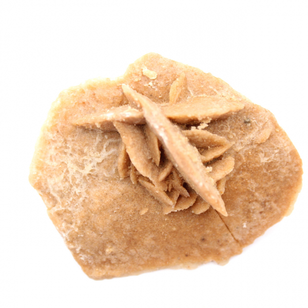 Rosetta minerale del Marocco: cristallizzazione del gesso