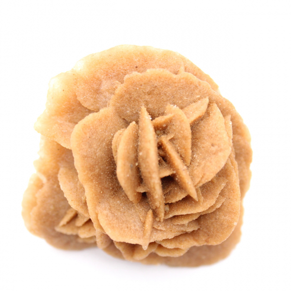 Rosa del deserto marocchina: bouquet di gesso naturale