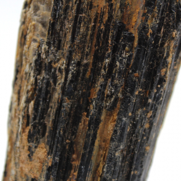 Tormalina nera grezza del Madagascar - Tabletop Rock