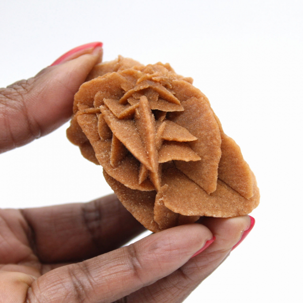 Formazione della Rosa del Deserto Marocchina: Gesso da Collezione