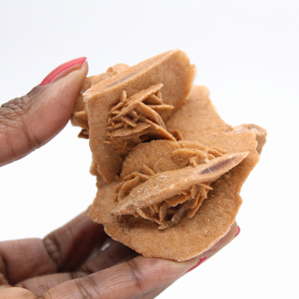 Rosa del deserto marocchina: formazione cristallina equilibrata