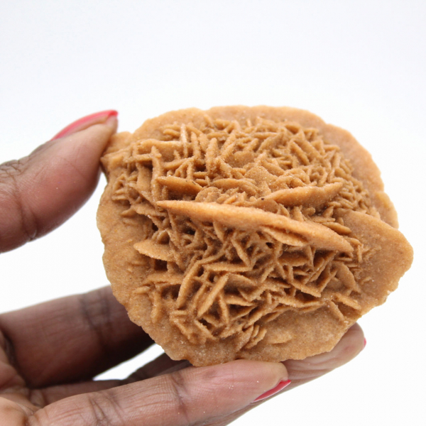 Esemplare di rosa del deserto marocchina: cristallizzazione densa