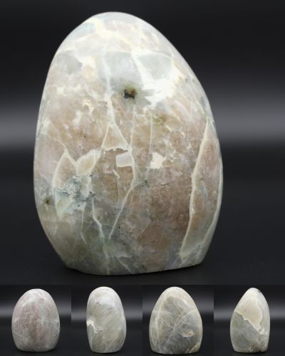 Garnieriti Madagascar collection febbraio 2021