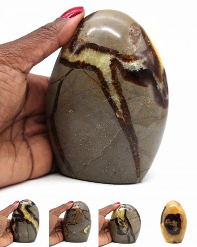 Septaria forme libere per ornamento Madagascar collection novembre 2022