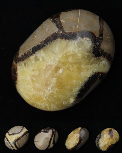 Ciottoli di Septaria Madagascar collection febbraio 2023
