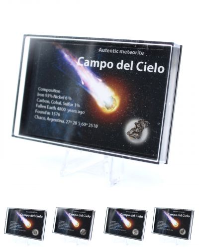 Meteoriti del Campo del Cielo Argentina collection febbraio 2024