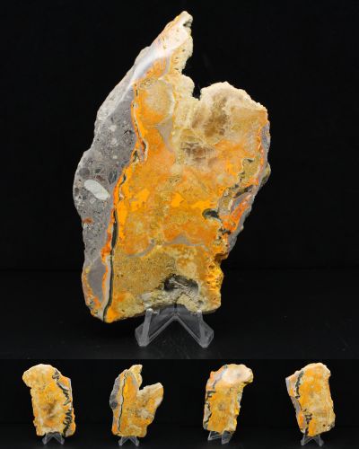 Jasper calabrone Indonesia collection giugno 2025