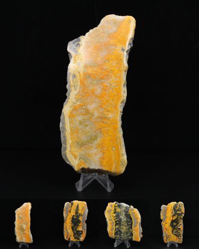 Jasper calabrone Indonesia collection aprile 2026