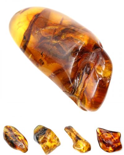 Ambra Lituania collection dicembre 2025