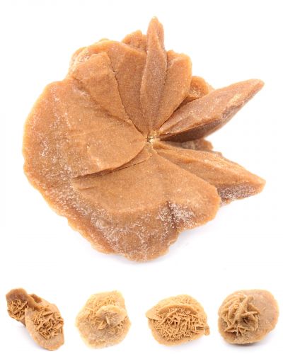 Rosa del deserto Marocco collection febbraio 2026 Rosa del deserto Marocco collection febbraio 2026