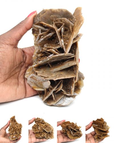 Barite marrone Marocco collection novembre 2025 Barite marrone Marocco collection novembre 2025