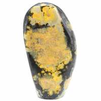 Jasper bumblebee indonesia
