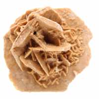 rosa di sabbia cruda