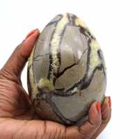 Uovo minerale in septaria