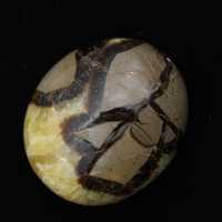 Ciottoli di septaria