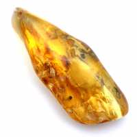 Ciottolo di ambra fossile
