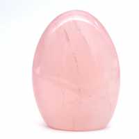 Quarto di rosa ornamentale