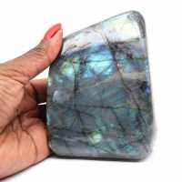 Labradorite lucidata Forma lucidata