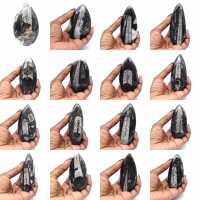 Fossile di Orthoceras dal Marocco