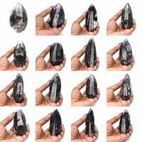 Fossile di Orthoceras dal Marocco