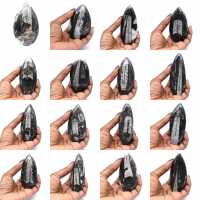 Fossile di Orthoceras dal Marocco