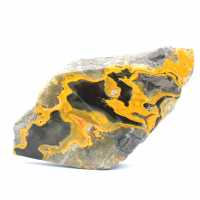 Jasper Bumblebee