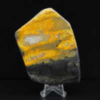 Collezione Indonesia lucidata Bumblebee