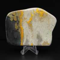 Decorazione di autenticità dell'esemplare di calabrone di diaspro