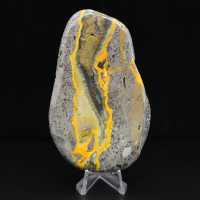 Collezione scientifica lucidata di esemplare di diaspro di Bumblebee